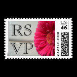 RSVP Pink Daisy Postage