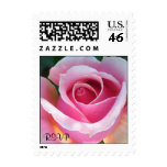 RSVP Pink Rose Stamp