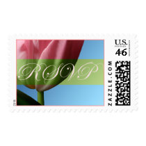 RSVP Pink Tulip Wedding Postage Stamp by TDSwhite RSVP Pink Tulip Wedding Postage Stamp