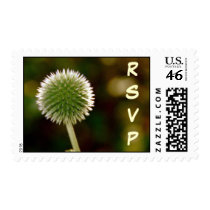 RSVP Postage postage