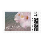 RSVP  Postage Stamp - Tropical Hibiscus