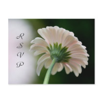 RSVP Postcard