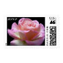 RSVP Rose
