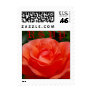 RSVP Rose