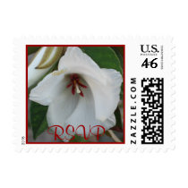 RSVP Stamp