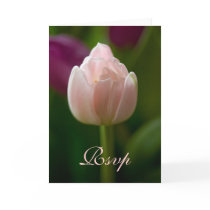 Rsvp Tulip Card