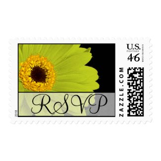 RSVP Wedding Lime Gerber Daisy Postage stamp