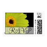RSVP Wedding  Lime Gerber Daisy Postage