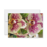 RSVP Wedding Tropical Orchid Personalized Announcement