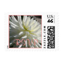 RSVP White Dahlia Stamp