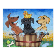 Rub a dub dub 3 Labs in a Tub Postcard