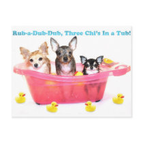Rub a Dub Dub Three Chis in a Tub Post Card