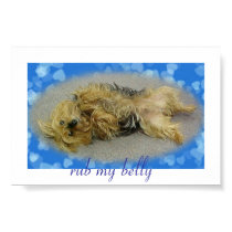 rub my belly posters