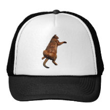 Rub My Tummy Hats