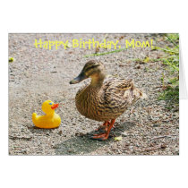 Rubber Duck and Mother Duck cards