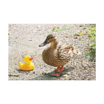 Rubber Duck and Mother Duck Gallery Wrapped Canvas