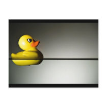Rubber Duck Floating Postcards