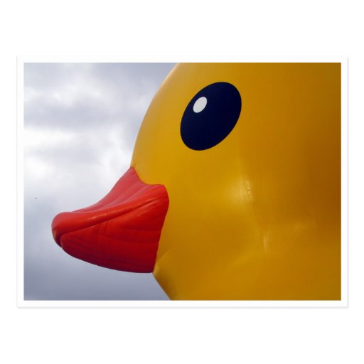 rubber duck profile postcard | Zazzle