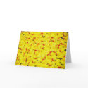 Rubber Duckies cards