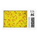 Rubber Duckies postage