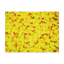 Rubber Duckies postcards by kmk101773 Rubber Duckies postcards