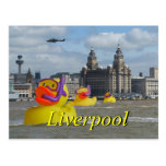 Rubber Ducks On The Mersey postcards