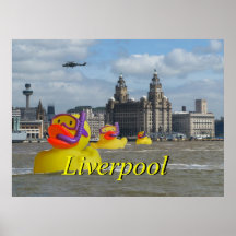 Rubber Ducks On The Mersey Poster