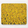 Rubber Ducky usepad