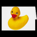 Rubber Ducky - Your the One cards