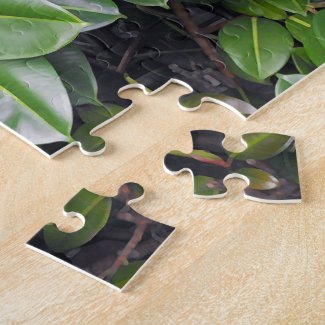 Rubber Tree Closeup Jigsaw Puzzle