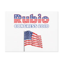 Rubio Patriotic American Flag 2010 Elections Post Card