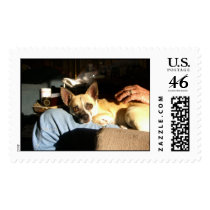 Rubio postage