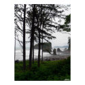 Ruby Beach II Poster posters by hopefulone Ruby Beach II Poster posters