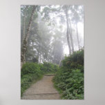 Ruby Beach, Pacific Coast - WA Print