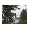 Ruby Beach Postcard by hopefulone Ruby Beach Postcard