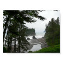 Ruby Beach Poster posters by hopefulone Ruby Beach Poster posters