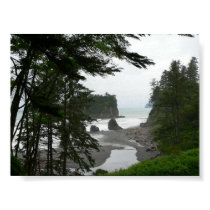 Ruby Beach Poster posters