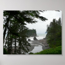 Ruby Beach Poster
