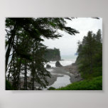 Ruby Beach Poster