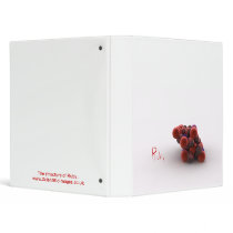 Ruby binders