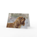 Ruby Cavalier Christmas Card