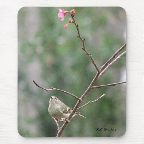 Ruby-crowned Kinglet Bloom Mousepad mousepad