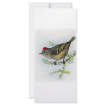 Ruby-crowned Kinglet rack cards