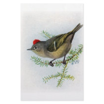 Ruby-crowned Kinglet stationery