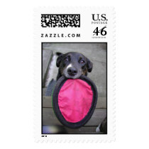 ruby-frisbee postage by robertldavis ruby-frisbee postage