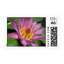 Ruby stamps