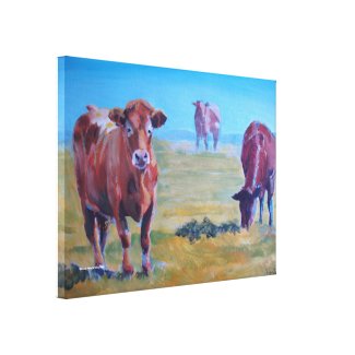 Ruby Red Cows in a Devon Field on a Sunny Hazy Day wrappedcanvas