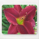 Ruby Red Daylily Mousepad by mulberry1 Ruby Red Daylily Mousepad