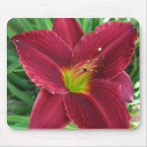 Ruby Red Daylily Mousepad