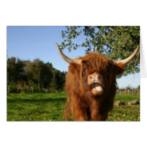 Ruby the Coo (card)